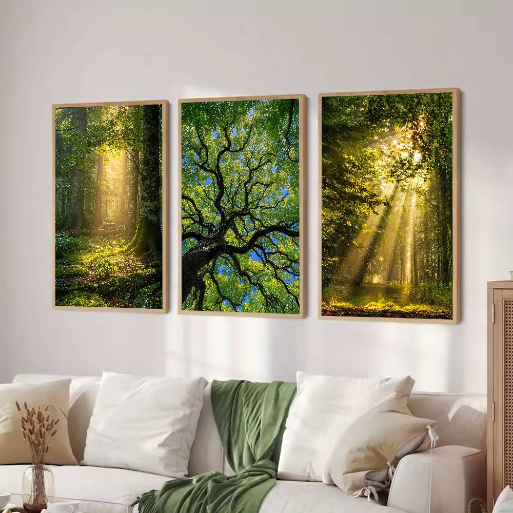 Sunbeam Forest Nature Poster,  - огляд і ціна Wall Decor Lighting Tree