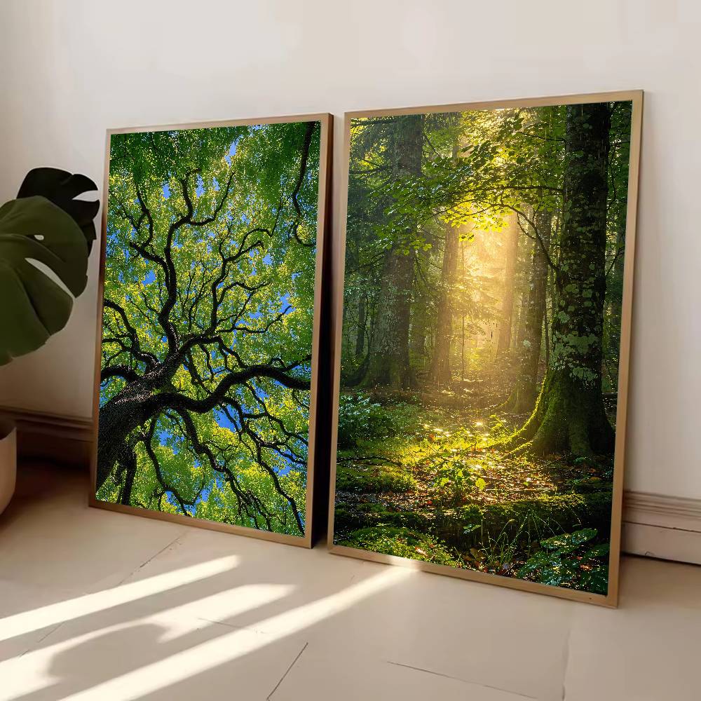 Sunbeam Forest Nature Poster,  - огляд і ціна Wall Decor Lighting Tree