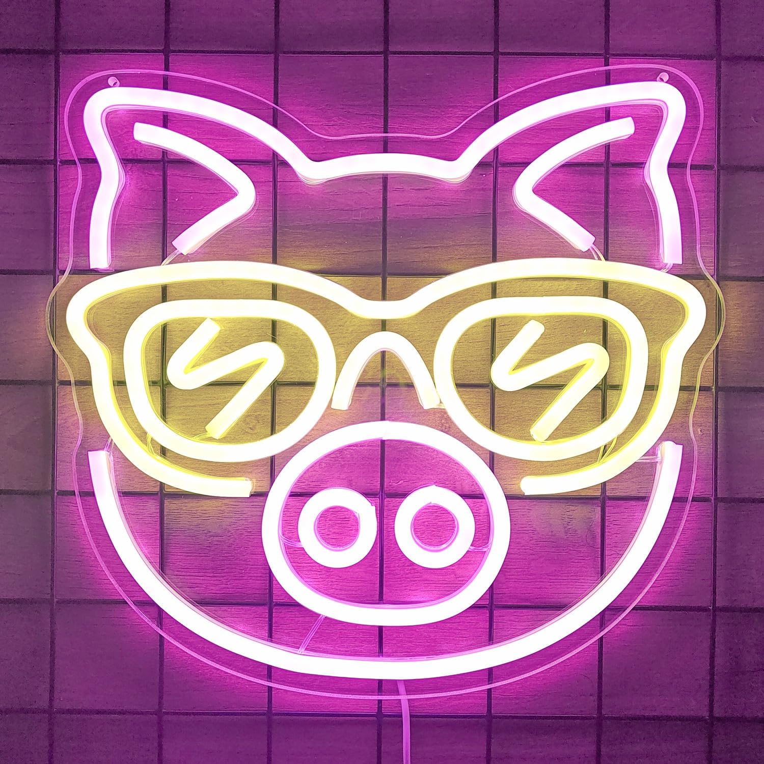 Pink Pig with Yellow Glasses N - огляд і ціна Outdoor Lighting Decor Ideas