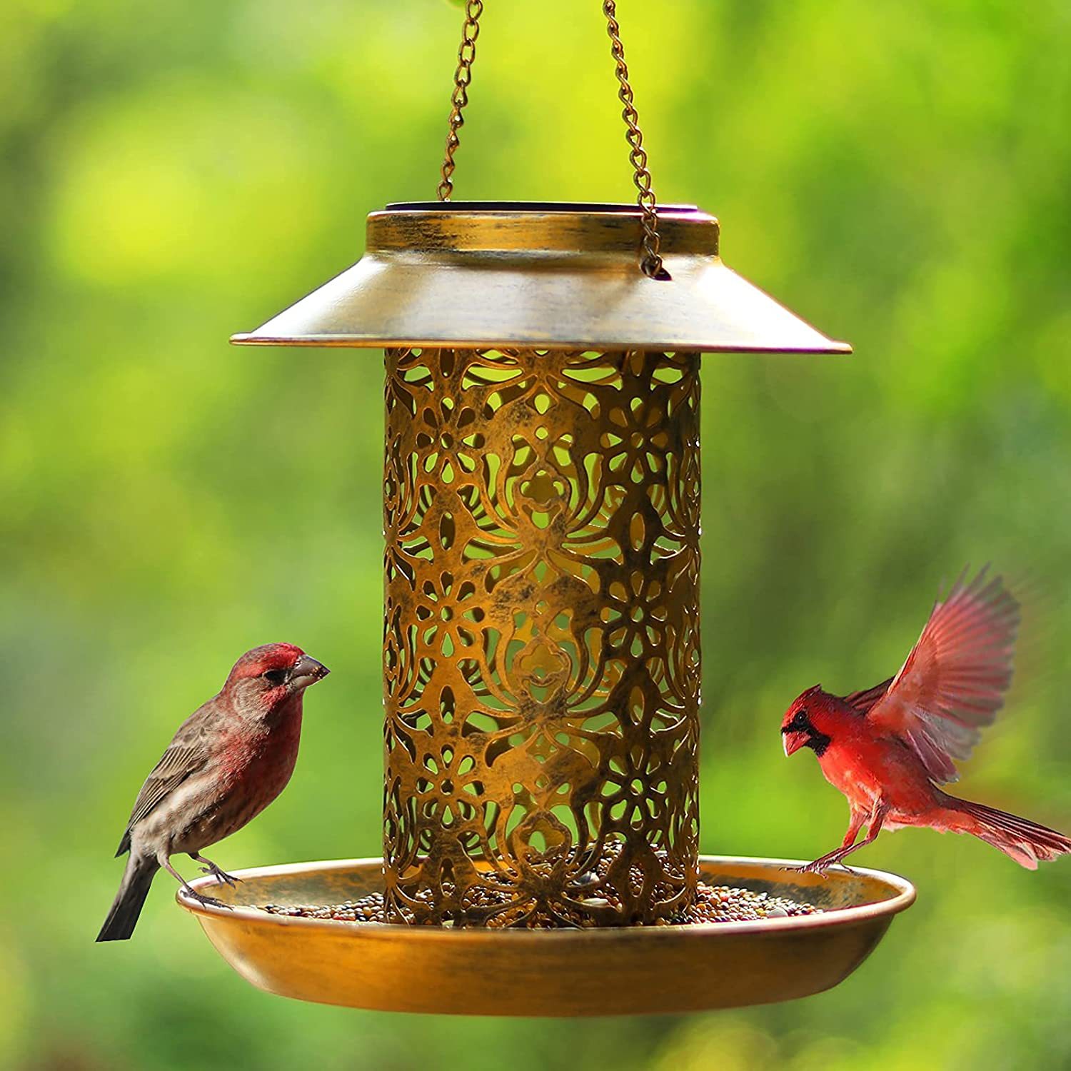 Hanging Bird House Metal Outdo - огляд і ціна Outdoor Lighting Decor Ideas